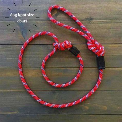 male dog knot|Understanding the Dogs Knot: An In